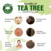 Tea Tree Oil 15 ML