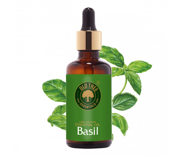 Basil Oil 50