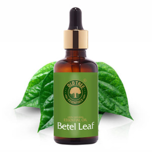 Betel Leaf Oil 50