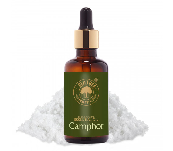 Camphor Oil 50