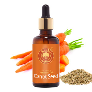 Carrot Seed Oil 50