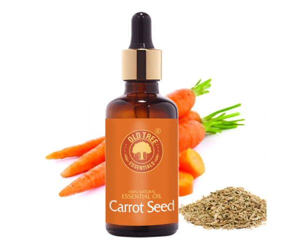 Carrot Seed Oil 50