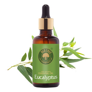 Eucalyptus Oil 50