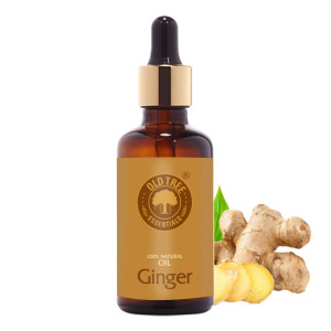 Ginger Oil 50