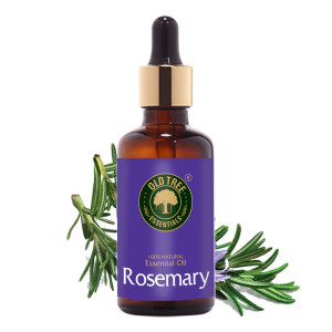 Rosemary Oil 50