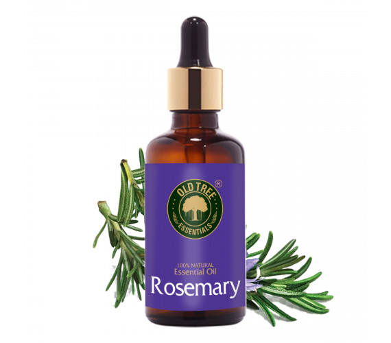 Rosemary Oil 50